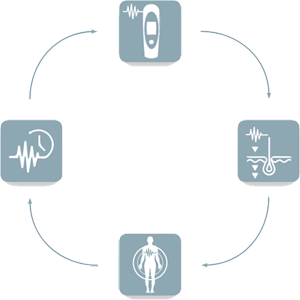 Funktionsweise der bioadaptiven Impulstherapie